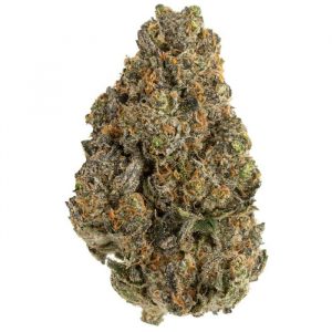 [INDICA] Pink Rockstar (AAA+)