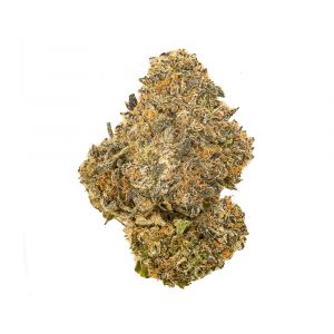 [SATIVA] Golden Goat (AAAA)