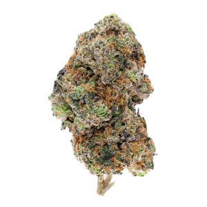 [INDICA] Funky Monkey (AAA+)