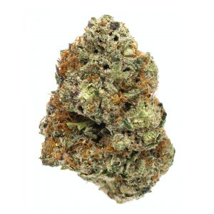 [INDICA] Gummy Buns (AA)