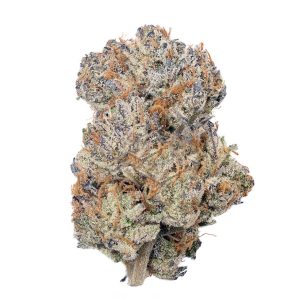 [INDICA] Pure Midnight (AAA)